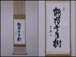 ★鎌倉山主 朱印【掛軸『鶴宿千年樹』木箱入り】紙本 肉筆　瑞巌/銘々落款　幅32.5×全長144.5cm(書30×63cm)　茶道具 一行書　セール！