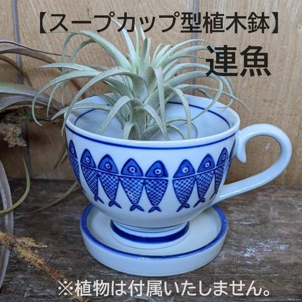 【連魚柄】スープカップ型植木鉢　受け皿付　陶器 寄せ植え　多肉植物　サボテン 苔　観葉植物　陶器　鉢カバー