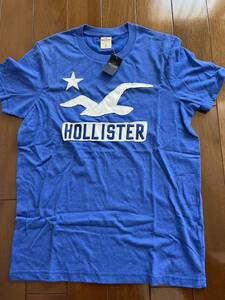 新品　Hollister Tシャツ 半袖　メンズ ホリスター US:Lサイズ　アバクロ