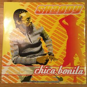 Shaggy / Chica Bonita　[Do It Yourself Entertainment - DO IT 37-02]