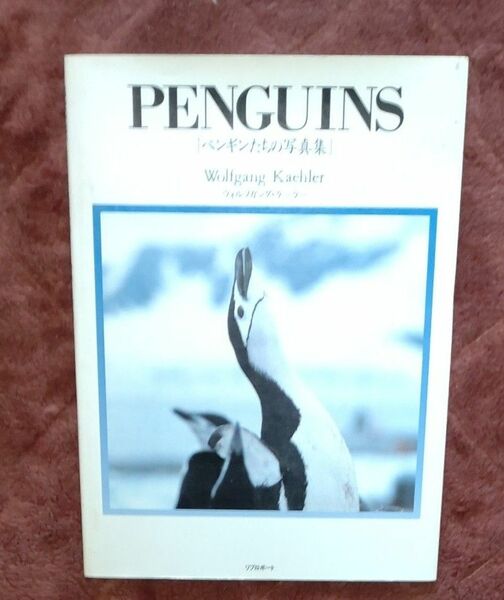 PENGUINS ペンギン写真集