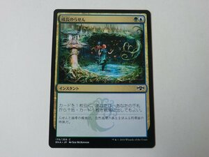 MTG 美品 【成長のらせん】 （コモン） ラヴニカの献身 RNA 日 7枚迄