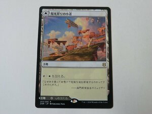 MTG 美品 【陽光昇りの小道】 （レア） ゼンディカーの夜明け ZNR 日 1枚迄