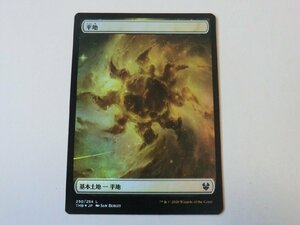 MTG 美品 【平地（フルアートFOIL）】 （コモン） テーロス還魂記 THB 日 6枚迄