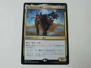 MTG 美品 【エイスリオスの番犬、クノロス】 （レア） テーロス還魂記 THB 日 1枚迄