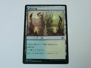 MTG 美品 【荊棘光の橋】 （コモン） MH2 日 9枚迄