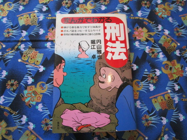 Ｃ４　『まんがでわかる刑法』　円山雅也・堀江卓／著　集英社発行　経年劣化による破損有り　　