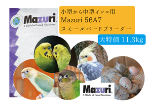  great special price [Mazurimazli] small size parakeet * parrot 56A7 small bird bleeder 11.3kg