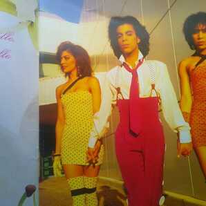 即決 プリンス 日本公演 PRINCE・LOVESEXY 1989 TOUR コンサート ツアー パンフレット 別紙 日程表付きの画像3