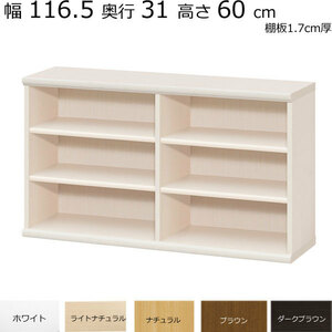 本棚・書棚　既製品　幅116.5　奥行き31（レギュラー）　高さ60ｃｍ(棚板1.7cm厚標準）