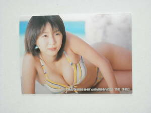 酒井若菜　＃３２　１９９９　山岸伸　プロパシフィックジャパン　トレーディングカード　栃木県野木町　小山南高等学校卒　１枚です