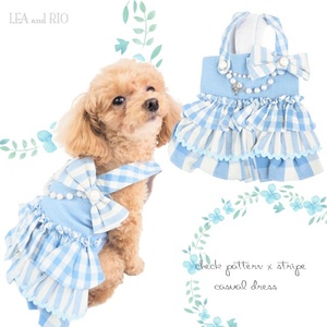  One-piece P659 платье освежение голубой аксессуары имеется высшее маленький собака papi- миниатюрный собака маленький размер собака собака кошка домашнее животное одежда собака одежда кошка одежда собака. одежда кошка. одежда европейская одежда 