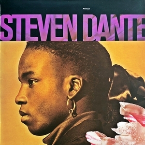 【Disco & Funk】LP Steven Dante / Find Out