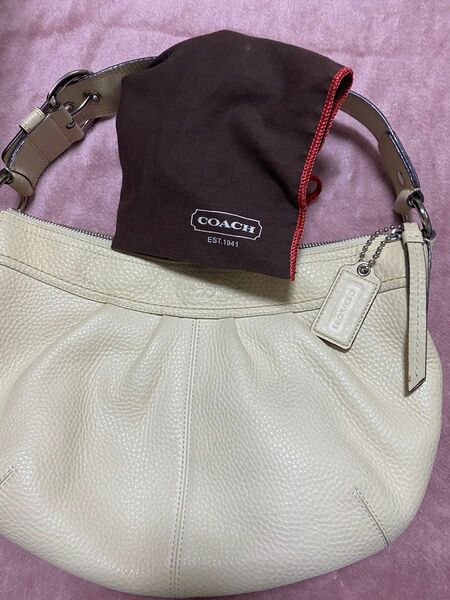 Coach bag use/second hand with dust bag 