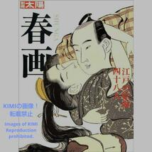 春画 江戸の絵師四十八人 別冊太陽 大型本 白倉 敬彦 平凡社 Shunga Art 春画美術 しらくら よしひこ 江戸の春画絵師四十八人_画像1