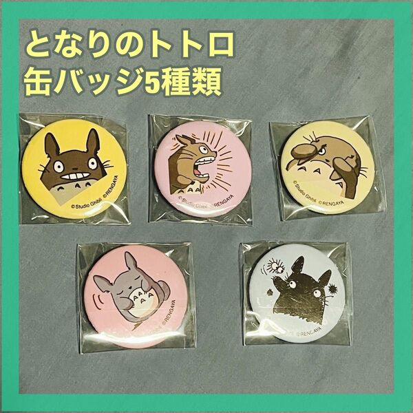 タイ限定 となりのトトロ 缶バッジ 5個