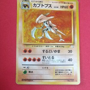 旧裏面 ポケモンカード カブトプス