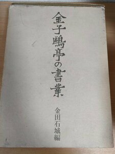 金子鴎亭の書業 金田石城編 1979 初版第1刷 豊島宗七 日貿出版社/評論/随筆/活字新体論/近代詩文/俳句/短歌/印譜/写真集/作品集/Z325012