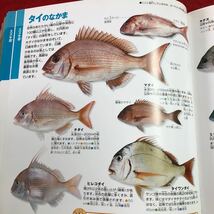 S6c-202 魚 小学校の図鑑 NEO 2004年6月10日 初版第4刷発行 小学館 図鑑 挿し絵 写真 魚介類 観賞魚 深海魚 コイ ドジョウ イワナ サケ_画像7