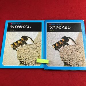 S6c-278 ツバメのくらし 科学のアルバム 37 著者 菅原光二 1989年10月 発行 あかね書房 ツバメ 生態 鳥 観察 学習 写真 産卵 ヒナ 巣作り