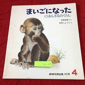 S6c-295 月刊予約・科学絵本 かがくのとも 1981年4月号 まいごになったにほんざるのくらし 1981年4月1日 発行 福音館書店 絵本 日本猿 小猿