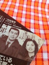 CN8736◆切抜き◇山口百恵渡哲也多岐川裕美河合美智子◇映画13本がビデオになったぞ・西部警察・西部署を訪問・限りなく男の子に近いって_画像2