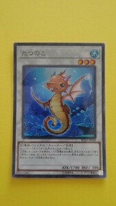 遊戯王デュエルモンスターズ オフィシャルカードゲーム たつのこ 未使用品 スリーブに入れて保管