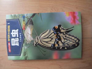 【即決】◆ ポケット版 学研の図鑑 1『昆虫』