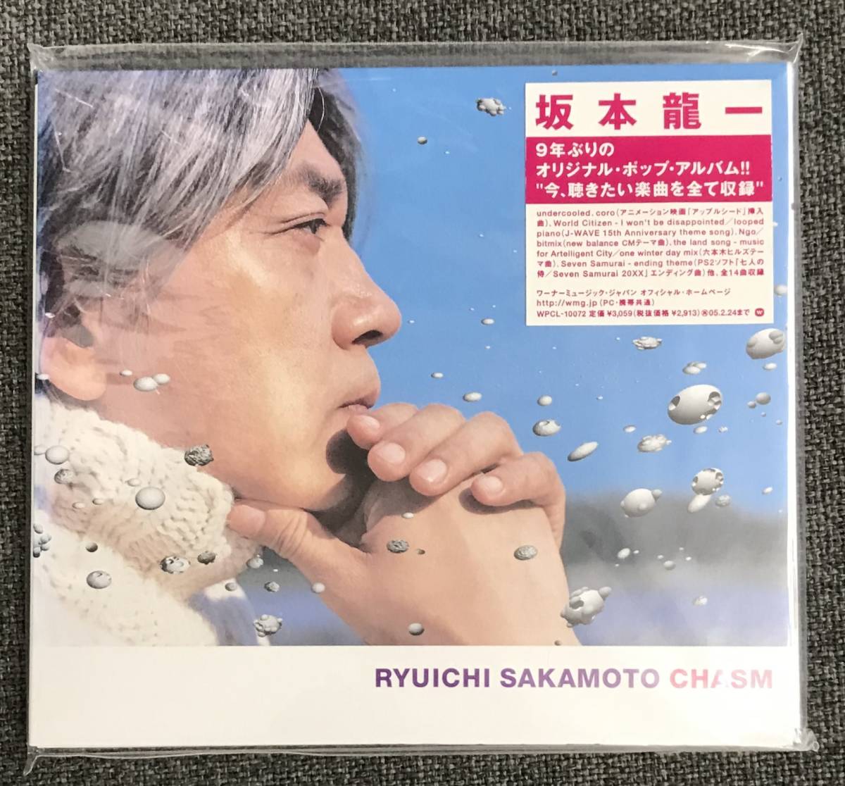 坂本龍一 RYUICHI SAKAMOTO CHASM アナログ盤 レコード-
