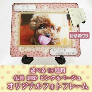  pet Buddhist altar fittings pet Chan memorial photo ( name inserting equipped ) pink & beige .. times . table Full color 