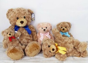  honey teddy bear new goods * unused a dam ( baby ) Katharine ( girl ) set towel art gallery .. bear bear Bear soft toy present anonymity 