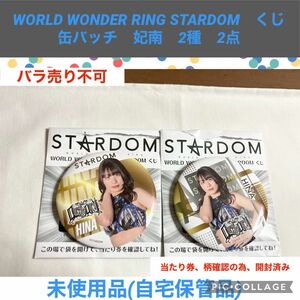 スターダム　くじ　WORLD WONDER RING STARDOM 缶バッジ　妃南　2種　2点　女子プロレス　プロレス