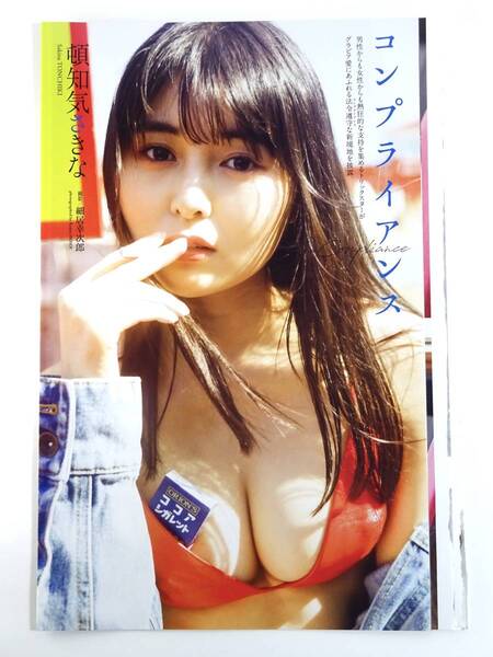 ●リーフレットふろく●【頓知気さきな「コンプライアンス」】●週刊プレイボーイ付録小冊子●