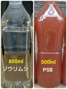 PSB(光合成細菌)500ml＆ゾウリムシ　800ml　メダカやミジンコの餌