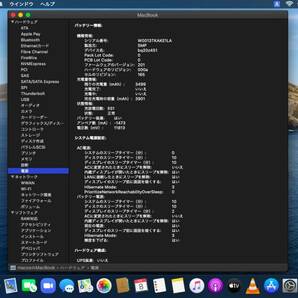 白ポリカ Unibody マックが Catalina で甦る！ A1342 MC516J/A MacBook 7,1 Mid 2010 2.4GHz 8GB SSD/256GB APFS Catalina 10.15.７ +AC ⑥の画像9