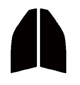 ダークスモーク　１３％　運転席、助手席　コルサ　L4#　３ドア　カット済みフィルム　国産