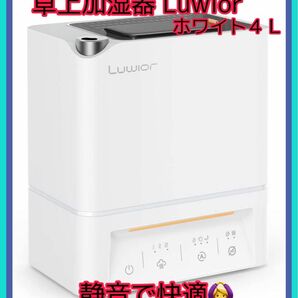 【大人気】加湿器 卓上 除菌加湿器 第二代 Luwior 電解水除菌 超音波加湿器 大容量 4L