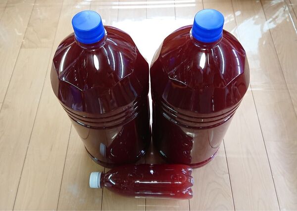 【10L】濃縮 PSB 光合成細菌 バクテリア 精製水使用 高品質 コック付き