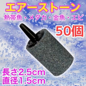 エアーストーン 50個　酸素　アクア用品　エアストーン　水槽　ぶくぶく　熱帯魚　金魚　メダカ　エビ　ポンプ　エアーチューブ