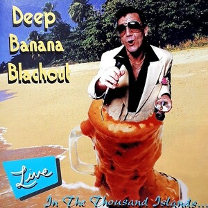 DEEP BANANA BLACKOUT LIVE IN THE THOUSAND ISLANDS 2002年 US盤 DBB FUNK Artkin Touchya