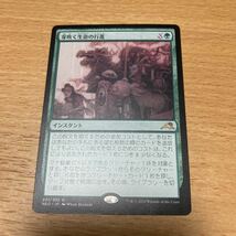 芽吹く生命の行進/March of Burgeoning Life [NEO] 神河：輝ける世界 MTG 日本語_画像1