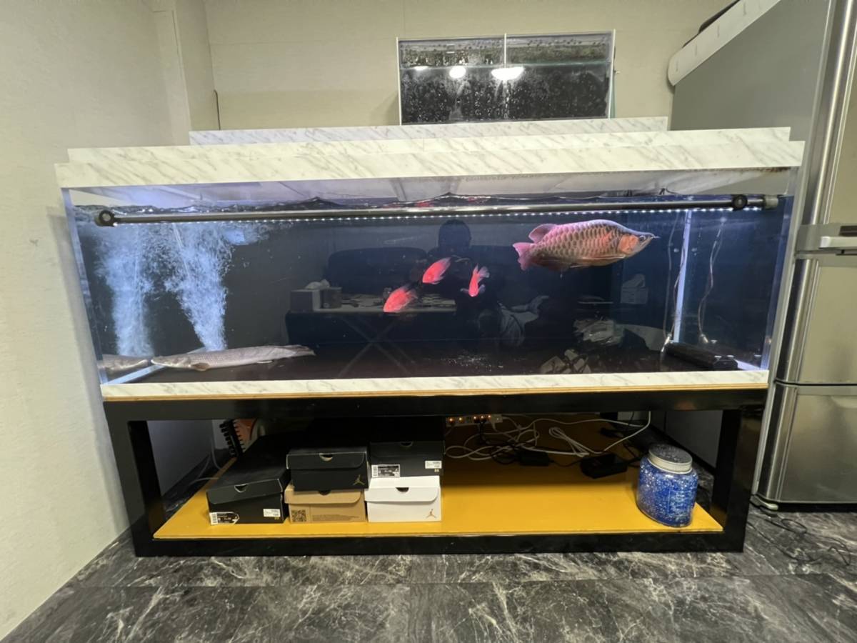 ヤフオク! -「アクリル水槽 60」(180cm~) (水槽)の落札相場・落札価格