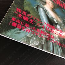 130 世界の美術館 平成13年8月14日発行 講談社 ヴェルサイユ宮殿美術館 フランス 歴史 古代 遺産 絵画 遺産 社会 芸術 人物 ベルサイユ_画像2