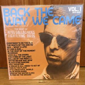 noel gallagher oasis オアシス BACK the way we came best ベスト レコード LP アナログ vinyl rsd