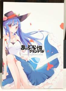 東方Project フルカラーイラスト集 比那名居天子 美少女 同人誌 グッズ 上海アリス幻樂団 緋想天