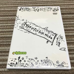 やまとなでしこ DVD サーフィン