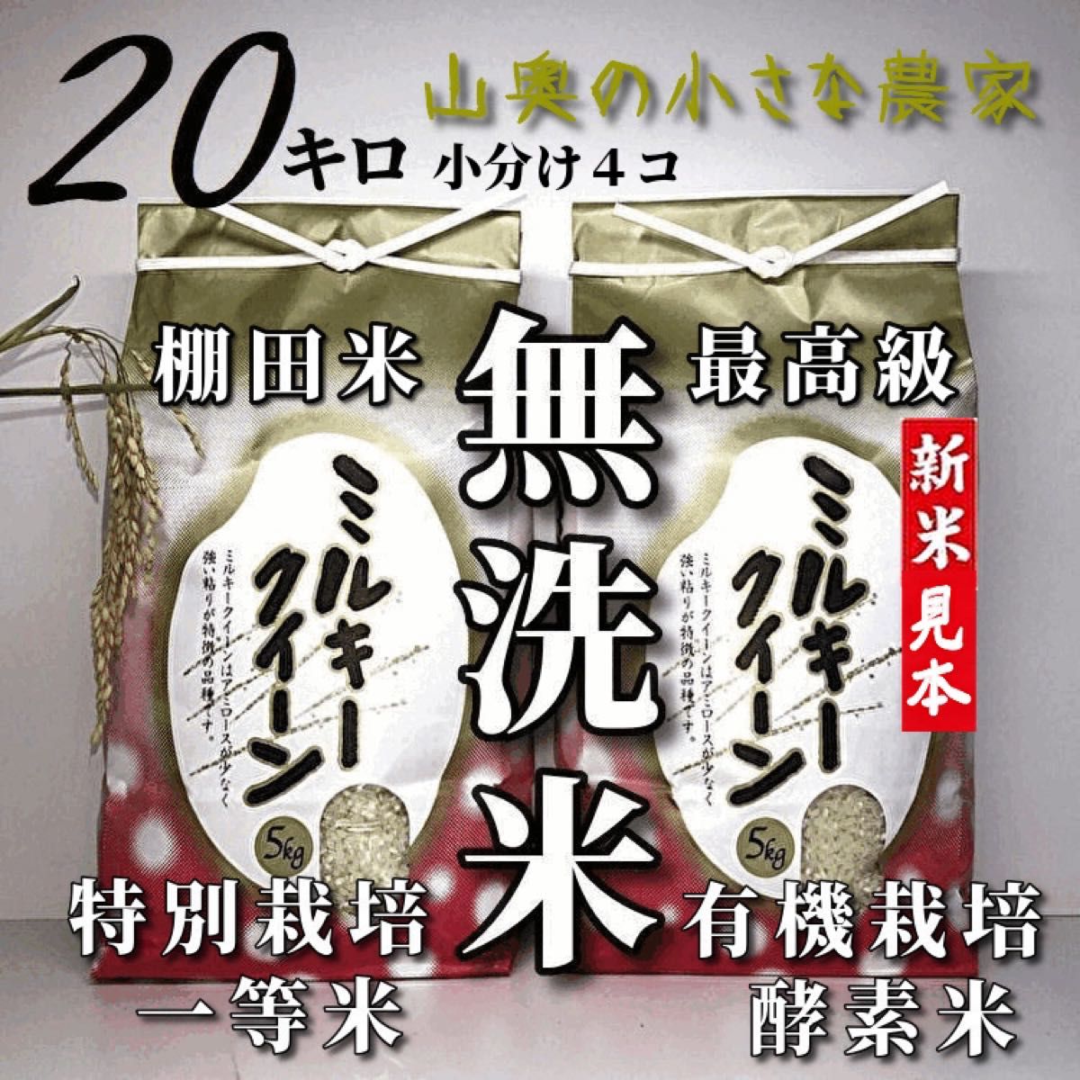 オリジナル 玄米 10kg コシヒカリ 新米 埼玉県産 令和4年産 送料無料