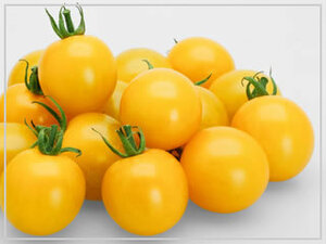 ［送料無料・オーガニック・種］黄色 中玉トマト 50粒◆自然栽培 自然農 農薬不使用 ゆうパケット