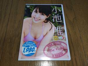 ★小池唯 DVD 『PINK BREEZE in HAWAII』 新品未開封★