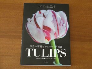 世界の華麗なチューリップ銘鑑 TULIPS ジェーン・イースト 送料185円